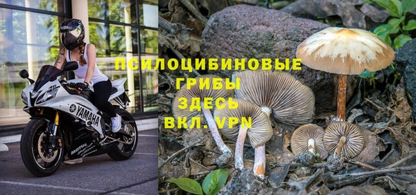 мяу мяу кристалл Нязепетровск