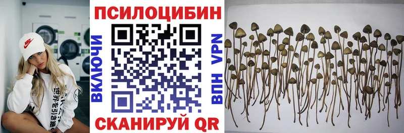 купить закладку MEGA ONION Галлюциногенные грибы Magic Shrooms Каневская